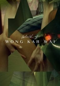 World of Wong Kar Wai (Criterion) (Blu-Ray)